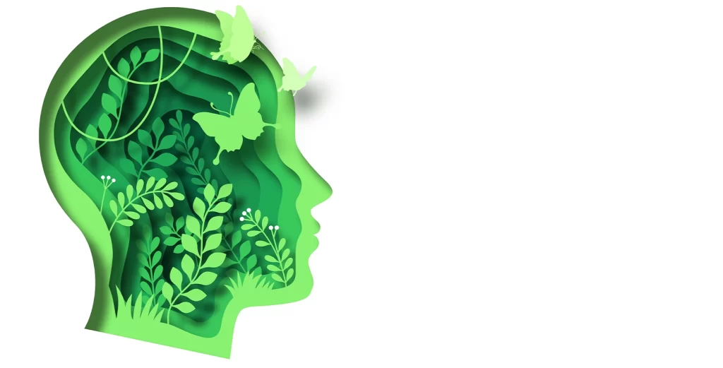 Universitatea din București lansează programul de masterat interdisciplinar „Environmental Humanities”